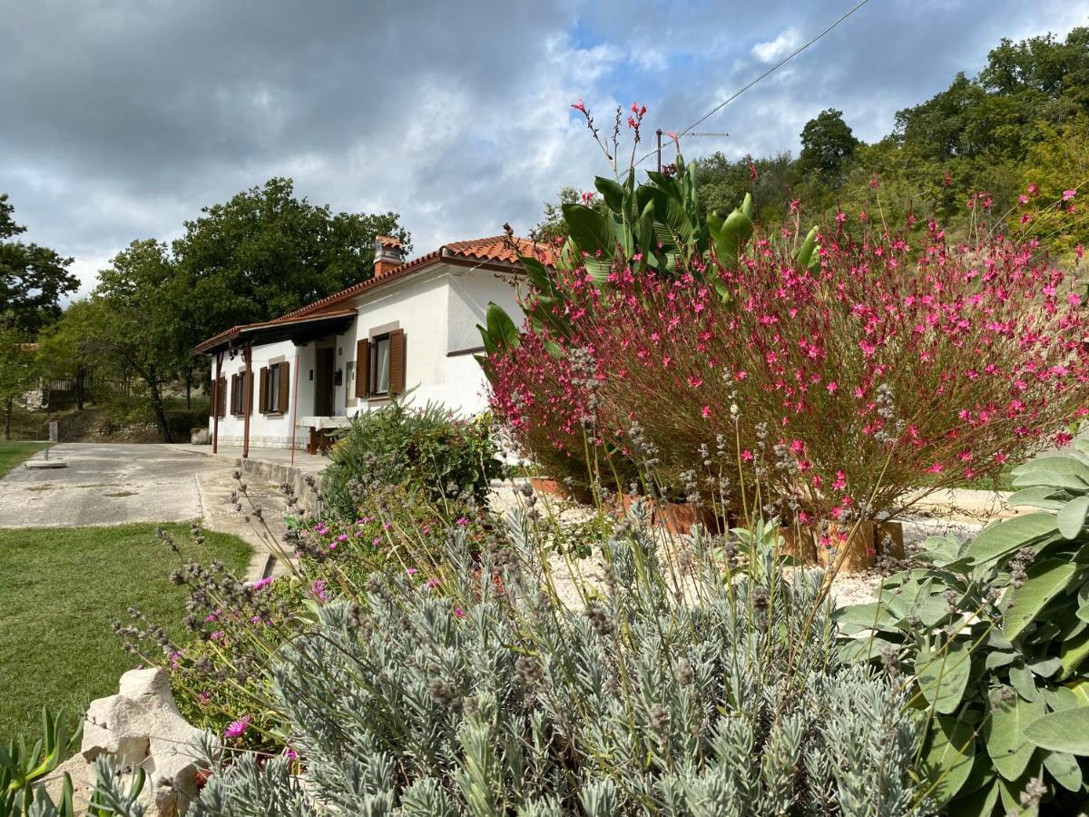 Istrian House In The Heart Of Tupljak - Smilovic Potpican Exterior photo